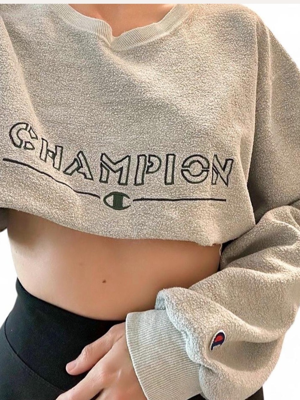 Champion Cropped Crewneck Sweatshirt Grey Size Large